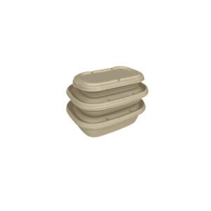 bagasse containers