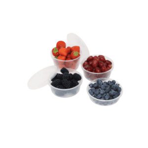 salad container