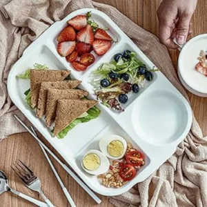 5‑Portion Rectangle Bio‑Degradable Plate – Eco Serving & Catering Pack