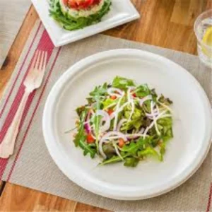 9″ Bio‑Degradable Plate – Eco Serving & Catering Pack (500 PCS)